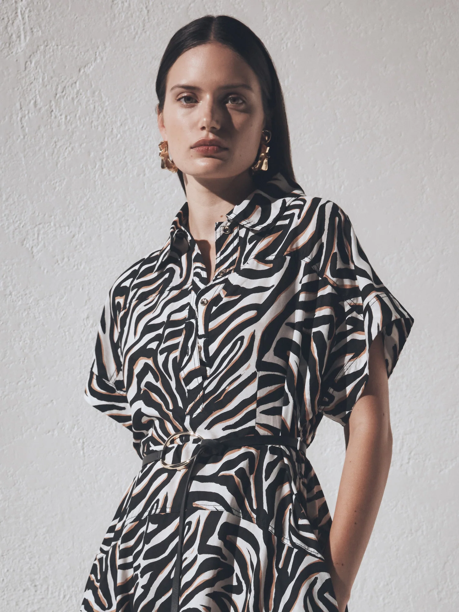 ABSTRACT ZEBRA SHIRTDRESS - Image 6